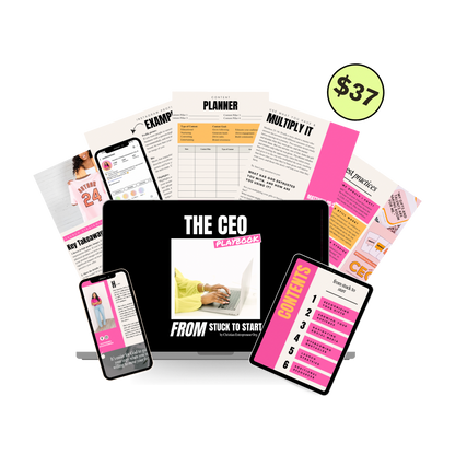 The CEO Playbook: From Stuck to Start Ebook