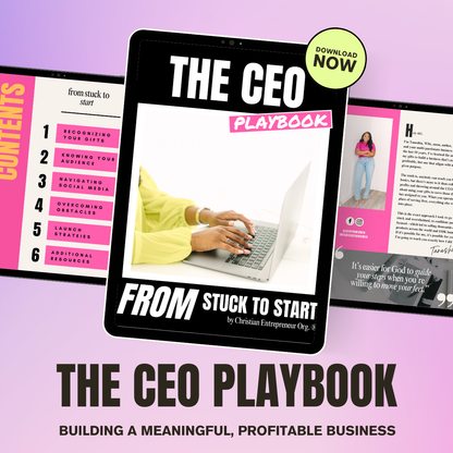 The CEO Playbook: From Stuck to Start Ebook